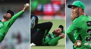 Glenn Maxwell shocks himself with ridiculous catch at the MCG